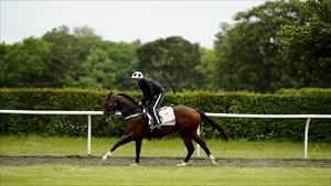 Royal Ascot Press Conference with Danny O’Brien