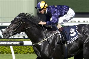 Beauty's Beast joins O'Brien