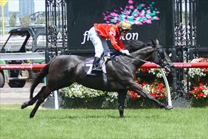 O’Brien aims at more Flemington joy