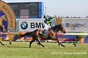 CAULFIELD CUP - MASTER O'REILLEY