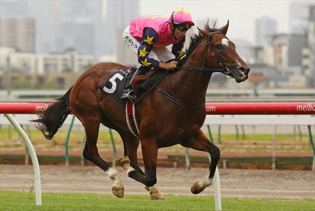 O'Reilly colt produces the goods