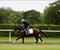 Royal Ascot Press Conference with Danny O’Brien
