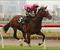 O'Reilly colt produces the goods