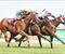O'Brien and Waikato keeping it all in the family