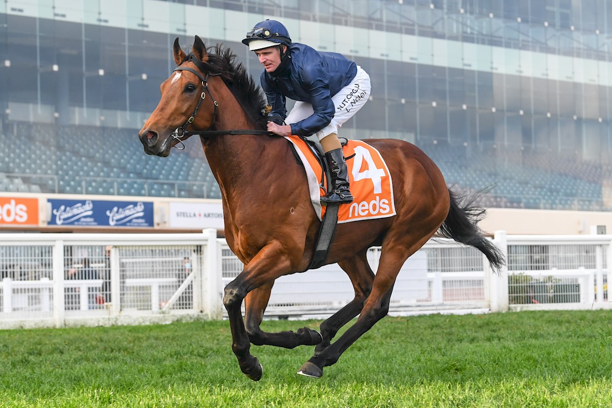 Danny O'Brien Racing - Press Box