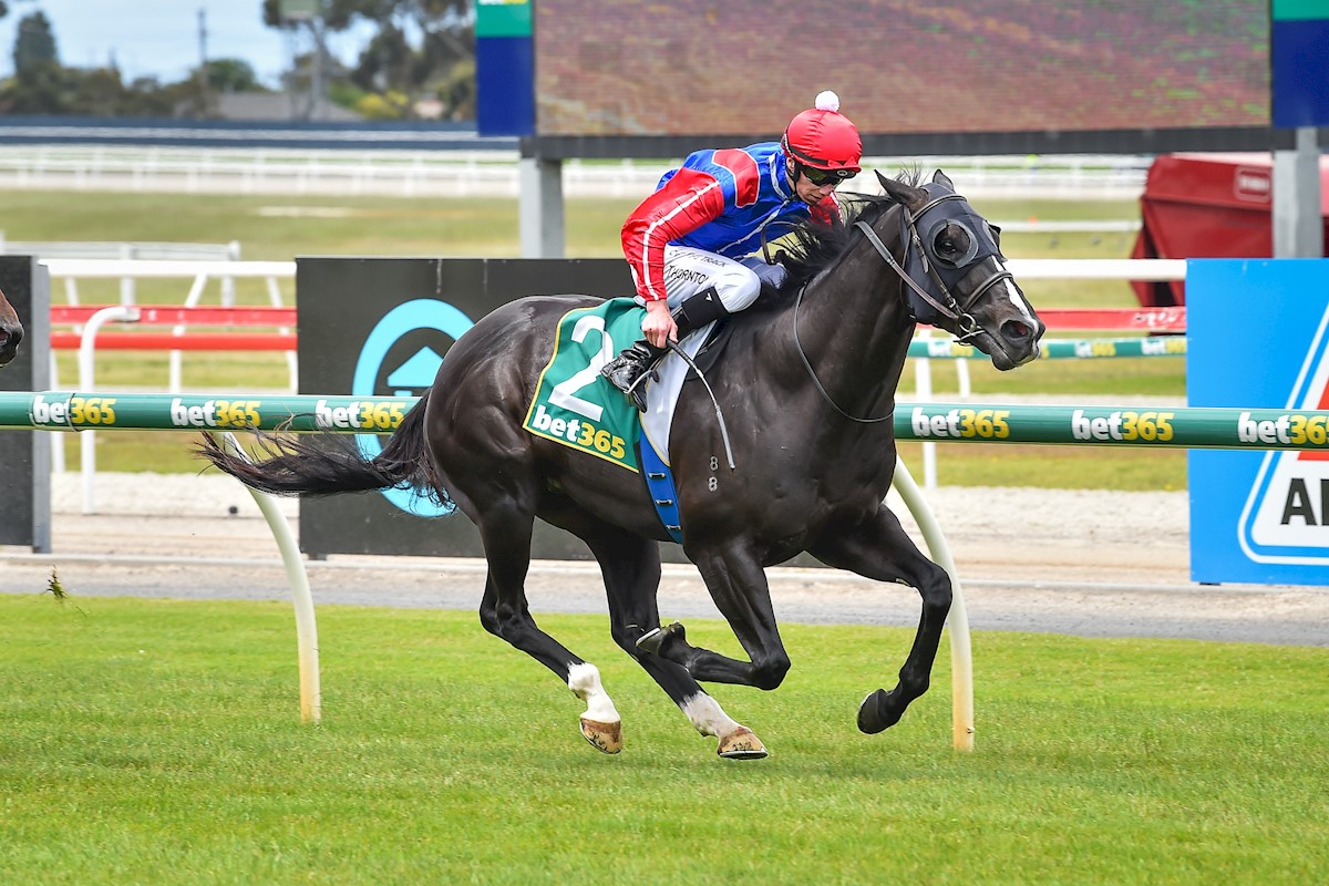 Danny O'Brien Racing - Press Box