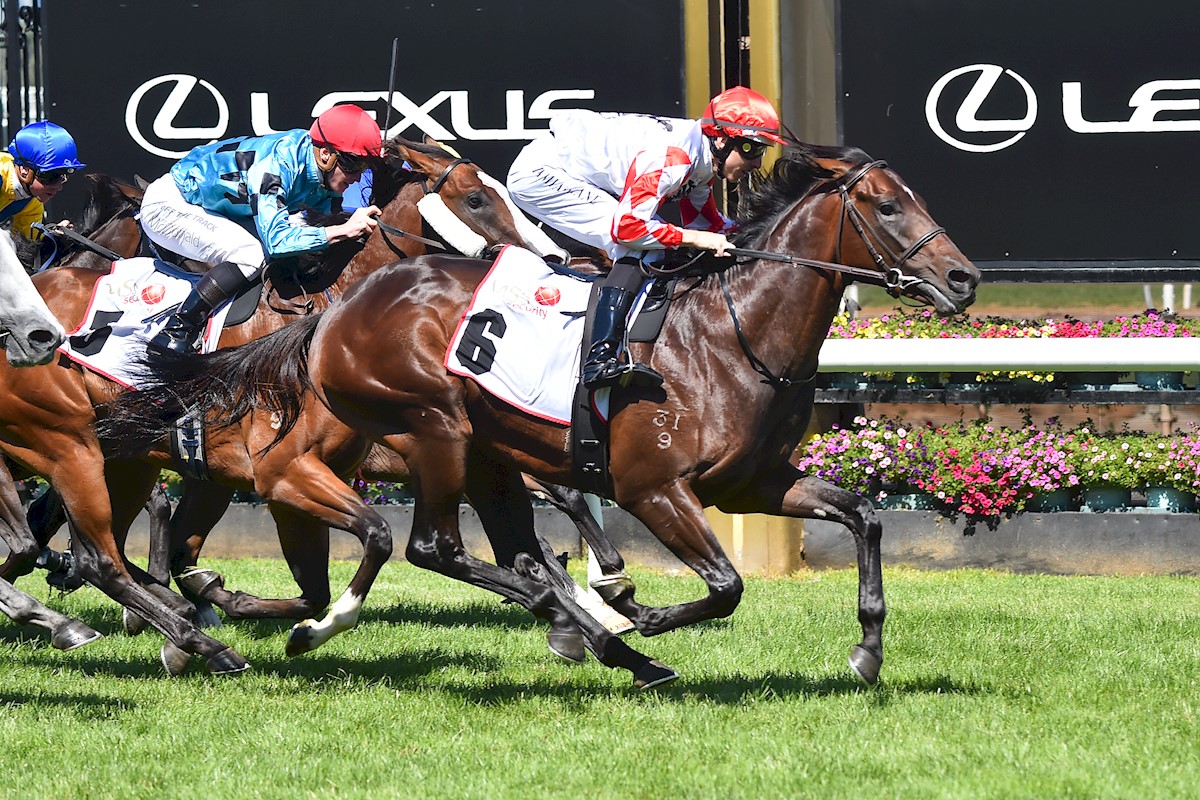 Danny O'Brien Racing - Press Box