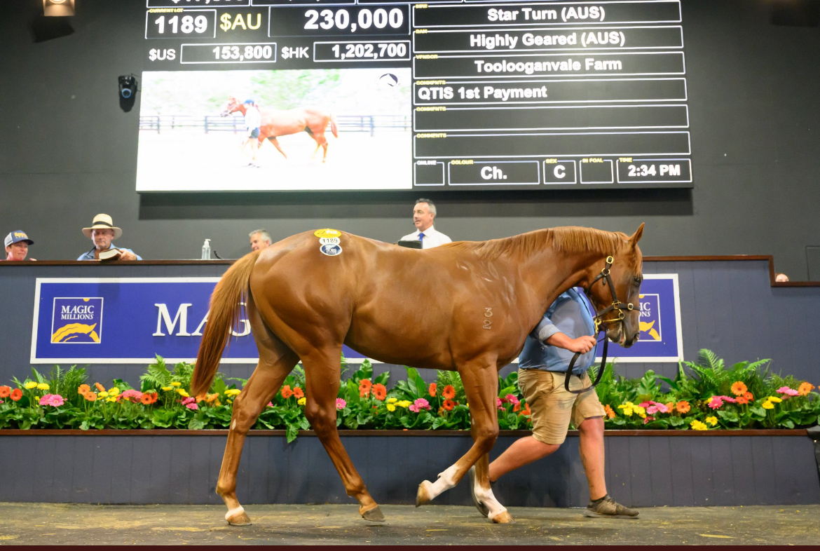Danny O'Brien Racing - Press Box