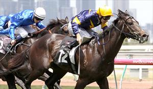 Classy trial has Tyrannize ready for return