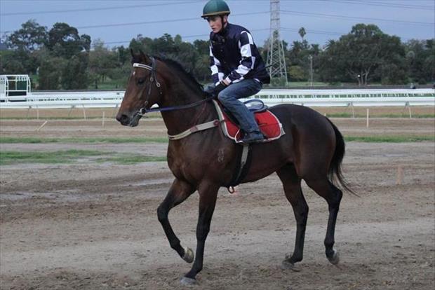 Danny O'Brien Racing