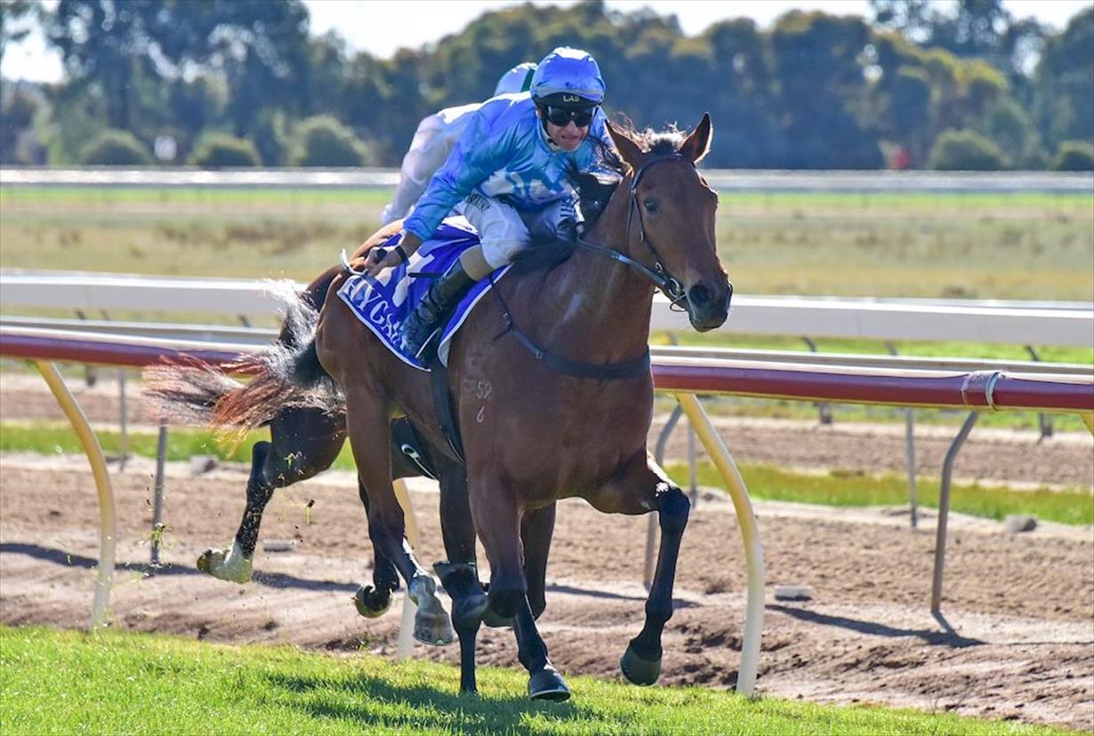 Danny O'Brien Racing