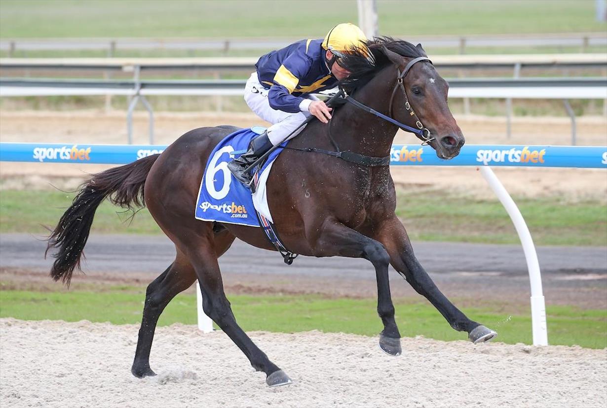 Danny O'Brien Racing